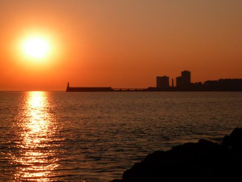 Camping Au Pré de l'Etang - Camping Vendée - Image N°38