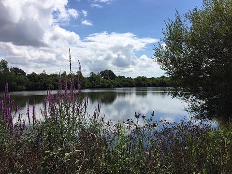 Camping Au Pré de l'Etang - Camping Vendée - Image N°29