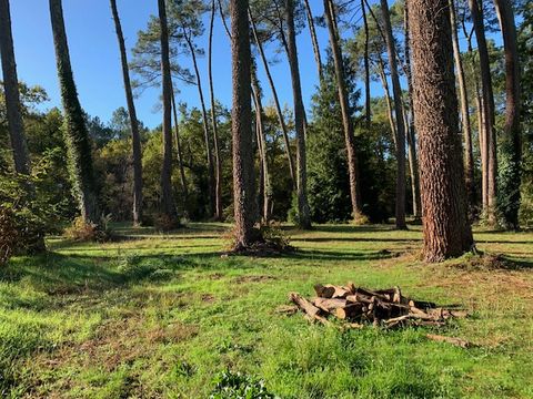 Camping Val de l'Eyre - Camping Gironde - Image N°17