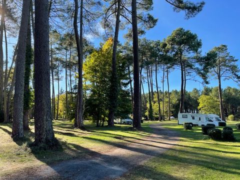 Camping Val de l'Eyre - Camping Gironde - Image N°14