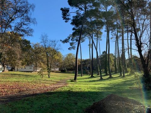 Camping Val de l'eyre - Camping Gironde - Image N°20