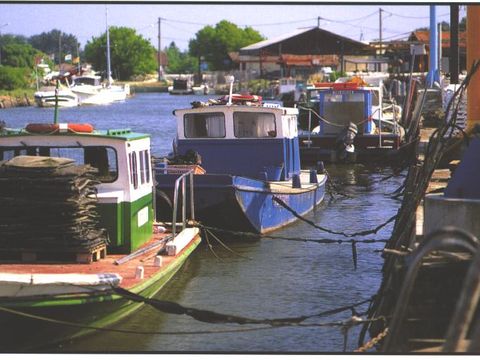 Camping Val de l'eyre - Camping Gironde - Image N°27