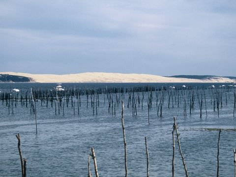 Camping Val de l'eyre - Camping Gironde - Image N°25