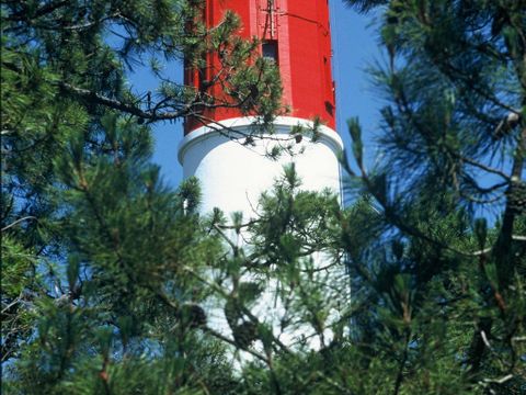 Camping Val de l'Eyre - Camping Gironde - Image N°24
