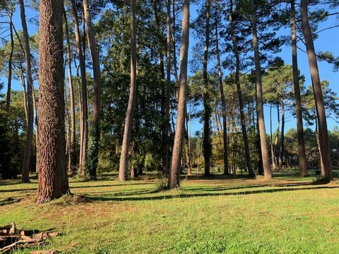 Camping Val de l'Eyre - Camping Gironde - Image N°13