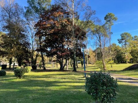 Camping Val de l'Eyre - Camping Gironde - Image N°20
