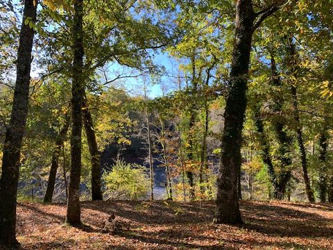 Camping Val de l'Eyre - Camping Gironde - Image N°19