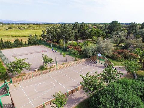 Camping Palais de la Mer - Camping Pyrénées-Orientales - Image N°23
