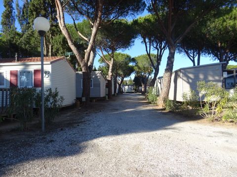 Camping International du Roussillon - Camping Pyrénées-Orientales - Image N°9