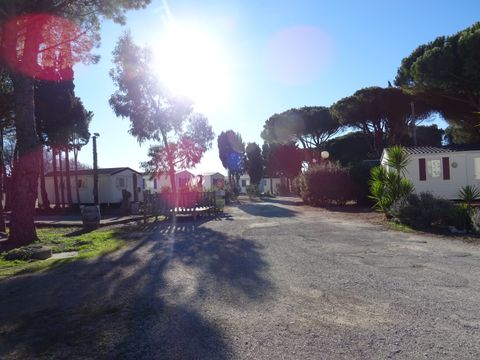 Camping International du Roussillon - Camping Pyrénées-Orientales - Image N°8