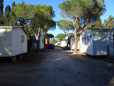 Camping International du Roussillon - Camping Pyrénées-Orientales - Image N°11