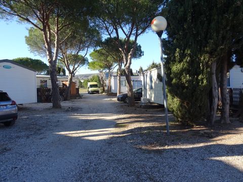 Camping International du Roussillon - Camping Pyrénées-Orientales - Image N°13