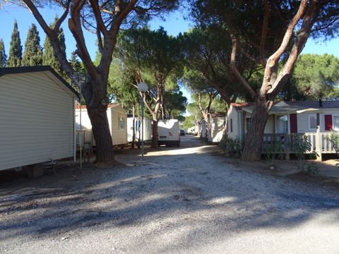 Camping International du Roussillon - Camping Pyrénées-Orientales - Image N°10