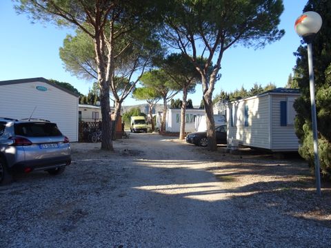 Camping International du Roussillon - Camping Pyrénées-Orientales - Image N°12