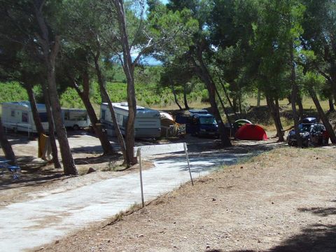 Camping Le Bois de Pins - Camping Pyrénées-Orientales - Image N°39