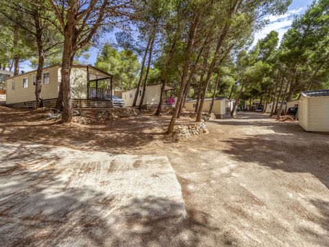 Camping Le Bois de Pins - Camping Pyrénées-Orientales - Image N°36