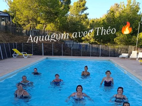 Camping Le Bois de Pins - Camping Pyrénées-Orientales - Image N°45