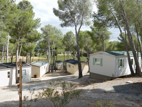 Camping Le Bois de Pins - Camping Pyrénées-Orientales - Image N°40