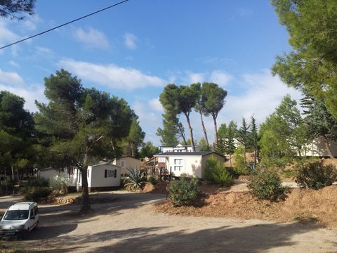 Camping Le Bois de Pins - Camping Pyrénées-Orientales - Image N°38