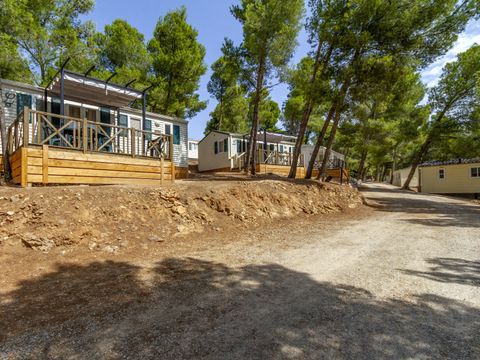 Camping Le Bois de Pins - Camping Pyrénées-Orientales - Image N°35