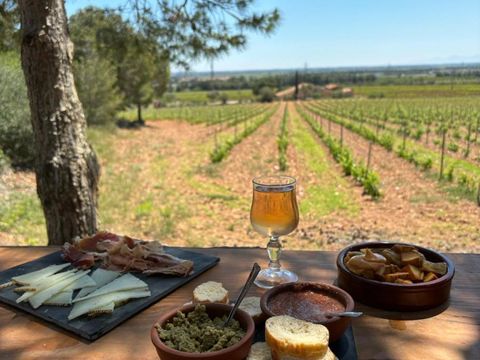 Camping Le Bois de Pins - Camping Pyrénées-Orientales - Image N°20