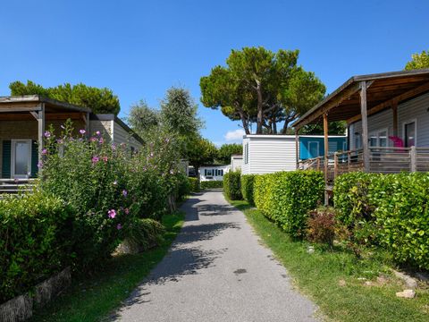 Camping Internazionale Eden  - Camping Brescia - Image N°14