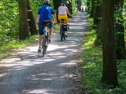 Camping Parc Mogador - Camping Var - Image N°9