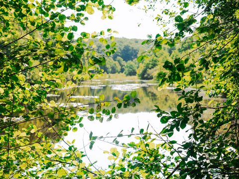 Sunêlia Camping les Nids du Lac - Camping Vosges - Image N°37