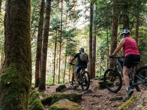 Sunêlia Camping les Nids du Lac - Camping Vosges - Image N°22