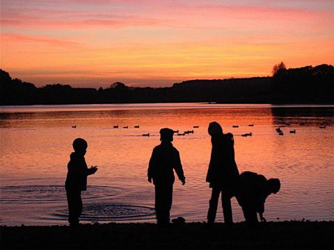 Sunêlia Camping les Nids du Lac - Camping Vosges - Image N°3