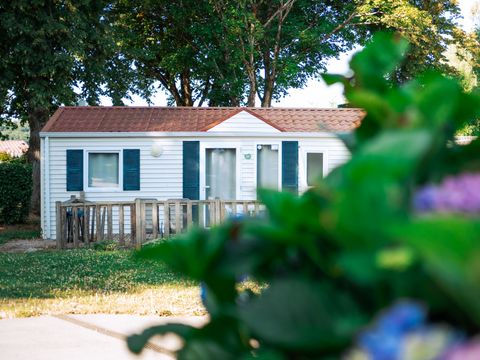 Sunêlia Camping les Nids du Lac - Camping Vosges - Image N°4