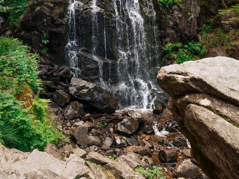 Sunêlia Camping les Nids du Lac - Camping Vosges - Image N°39
