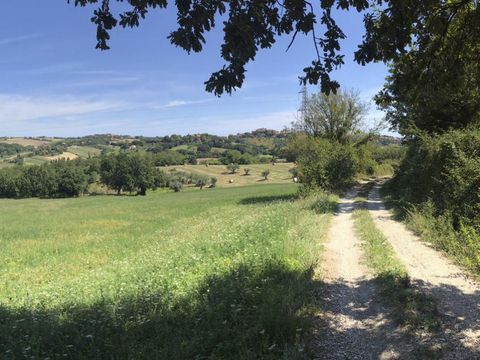 Camping Mar Y Sierra - Camping Pesaro-Urbino - Image N°40