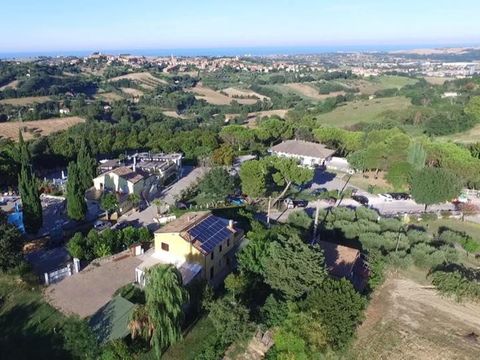 Camping Mar Y Sierra - Camping Pesaro-Urbino - Image N°37