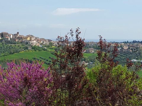 Camping Mar Y Sierra - Camping Pesaro-Urbino - Image N°39