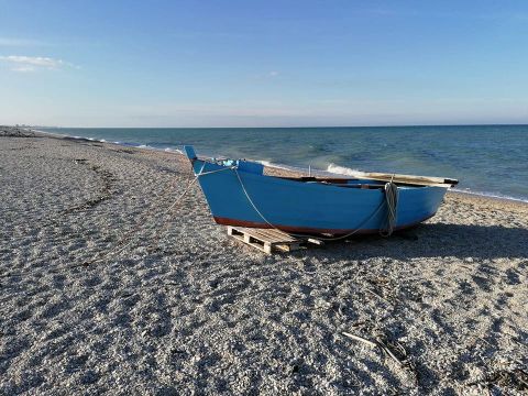Camping Mar Y Sierra - Camping Pesaro-Urbino - Image N°85