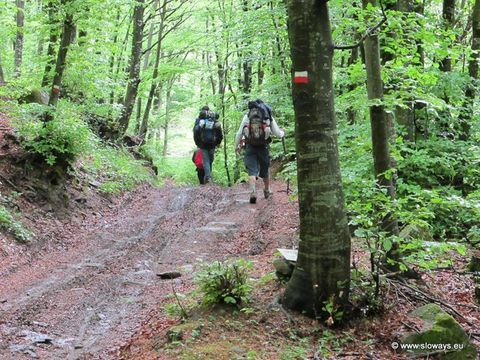 Camping Village Mugello Verde   - Camping Florence - Image N°34