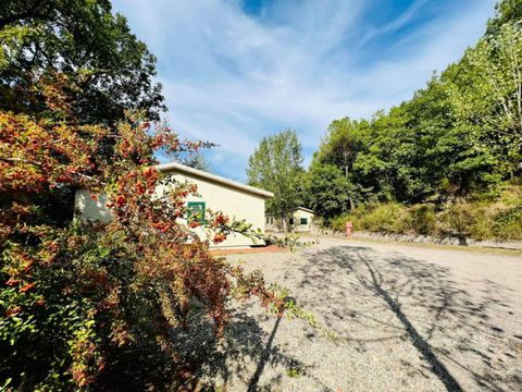 Camping Village Mugello Verde   - Camping Florence - Image N°18