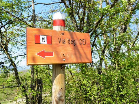 Camping Village Mugello Verde   - Camping Florence - Image N°37