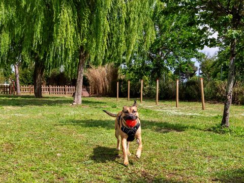 Hu Park Albatros Village - Camping Livourne - Image N°15