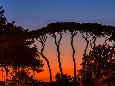 MOBILHOME 5 personnes - SunLodge Babul