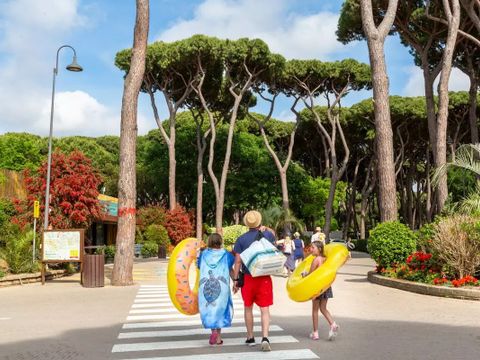 Hu Park Albatros Village - Camping Livourne - Image N°16