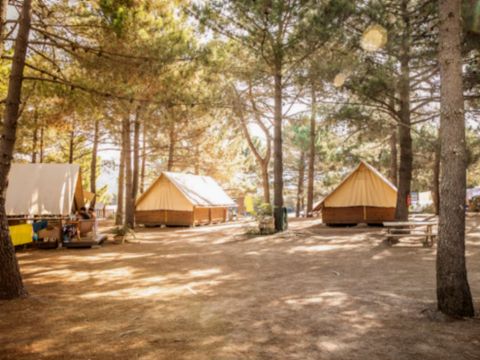 Tente en toile et en bois 5 personnes - Tente Lodge Sans sanitaire - arrivée le samedi en haute saison
