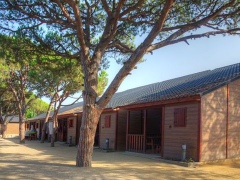 BUNGALOW 5 personnes - Standard B08