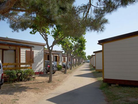 BUNGALOW 4 personnes - Premium B11+