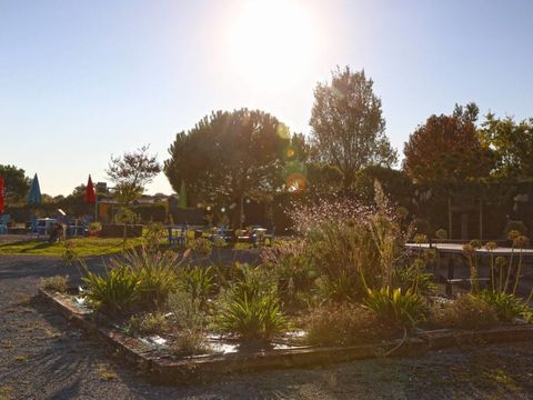 Camping du Lac de Saujon - Camping Charente-Maritime - Image N°9