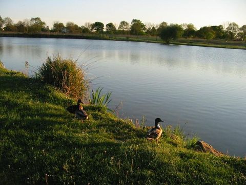 Camping du Lac de Saujon - Camping Charente-Maritime - Image N°5