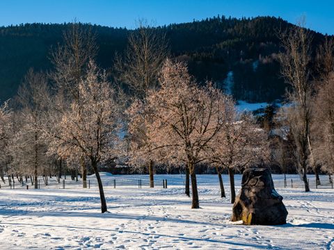 Camping du Lac de Moselotte - Camping Vosges - Image N°16