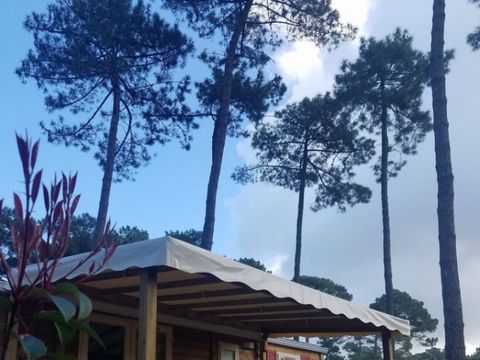 MOBILHOME 4 personnes - MH COSY 2ch 4 pers