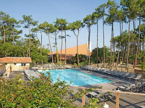 Résidence Domaine de l'Agréou - Camping Landes - Image N°3